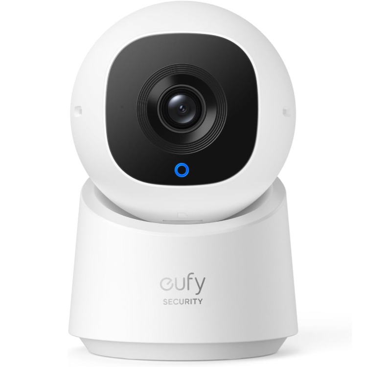 Indoor Cam C210
